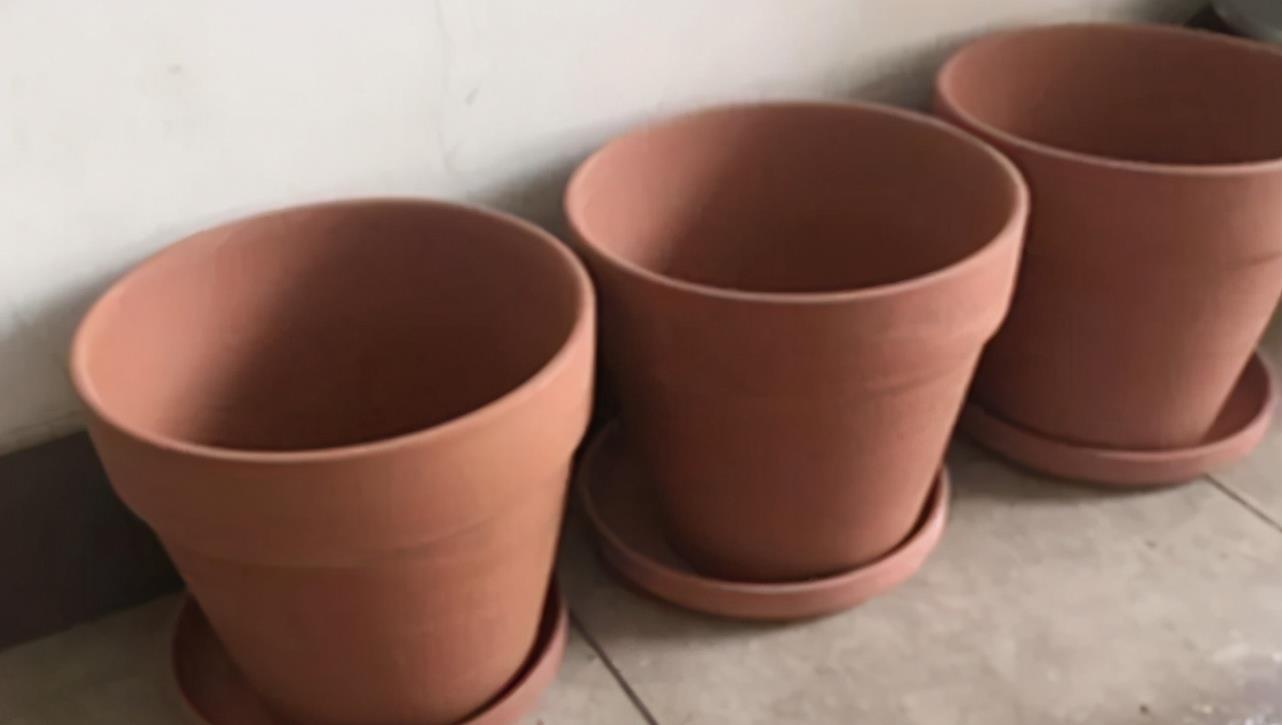 养花选“盆”别乱凑合,选对、选错差别很大,结局不一样