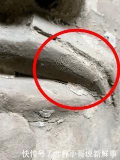 a2954|超越时空的对话,来自2000年前的问候