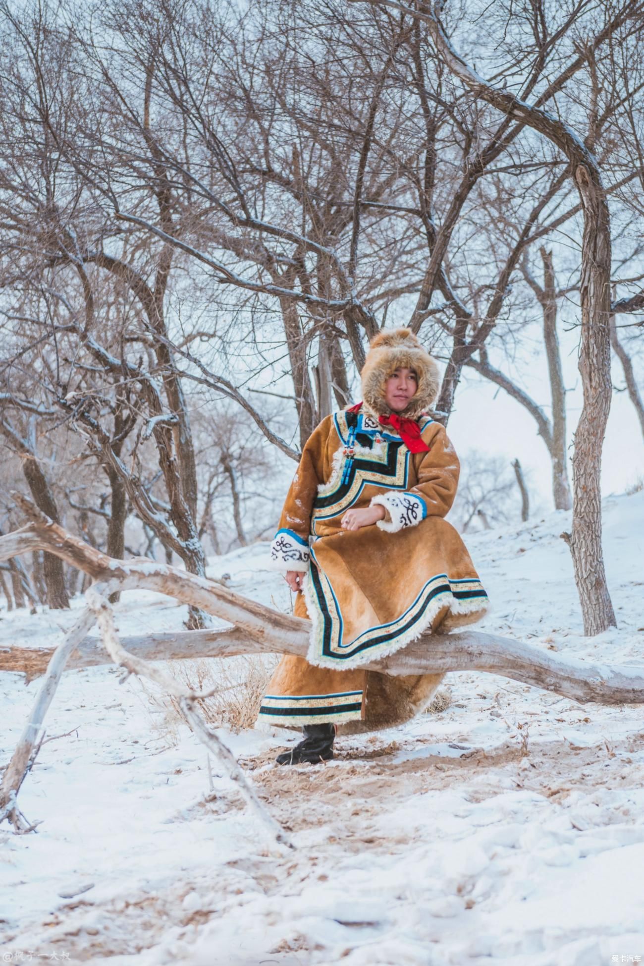 骆驼|屁股在冰雪草原骑开了花，但这里的空气是甜的