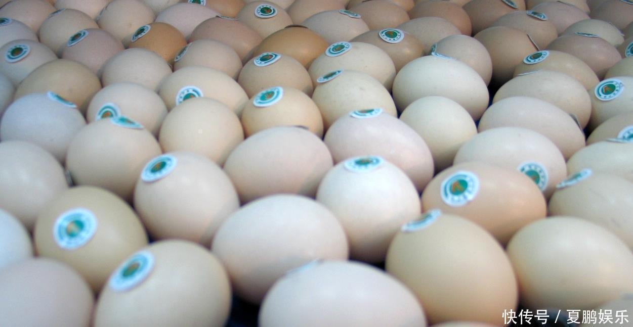 中毒|夫妇吃隔夜菜中毒,丈夫身亡四种隔夜菜比毒药还狠