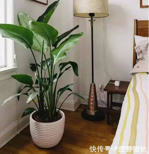 呼吸道感染|儿科医生孩子睡觉枕边别放这3物,会引发咳嗽,导致孩子发育慢