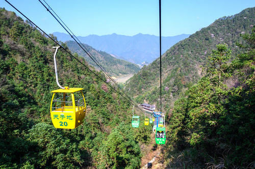 距杭州仅2小时，隐藏在山谷间的樱花美到窒息