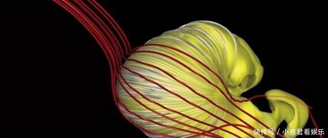 继我国公布深空探测计划后,美国立即跟进,目标1500亿公里