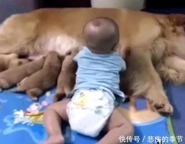 孩子|宝爸带孩子,转身发现宝贝不在,出来寻找哭了