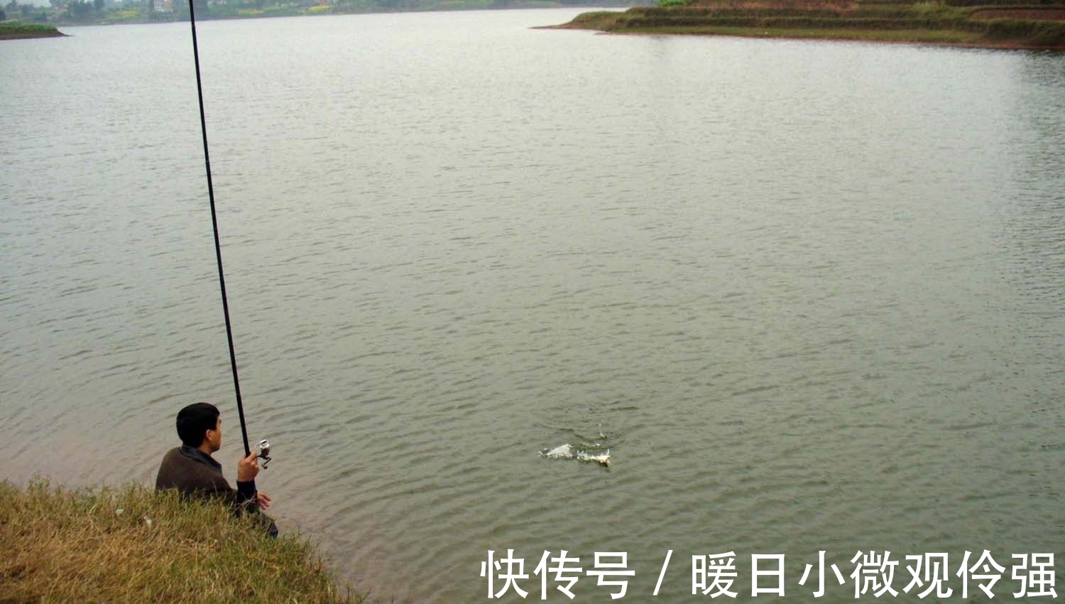 鱼类|夏天野钓,饵料中为什么要加酒、糖和果酸?夏天野钓的用饵方法