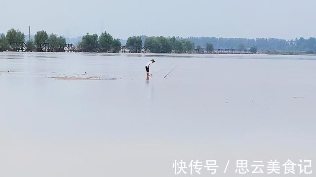 黄河|黄河水位大降，钓鱼人探钓黄河滩，“野货”真不少