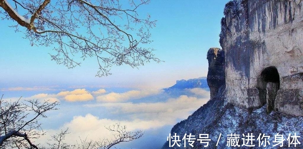 我国特有的单种属珍稀濒危兰花——金佛山兰