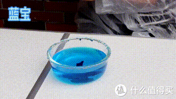 横评|筋膜枪选购横评，重数据，重体验，给你最详细的分析报告