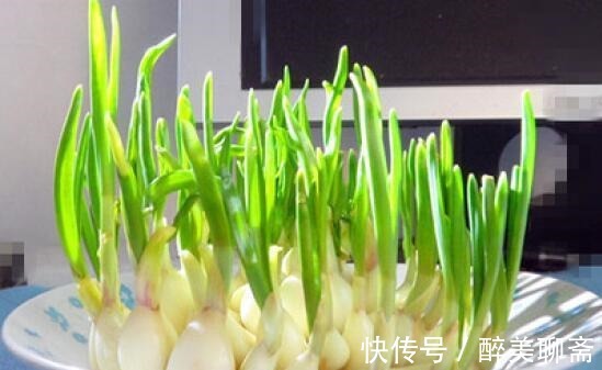 黄曲霉毒素|别扔!这3种食物发芽了不仅没毒,营养价值还翻倍