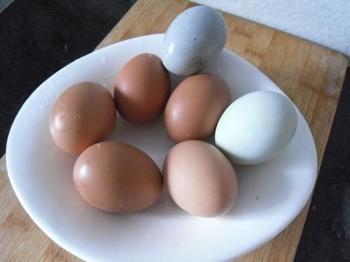 滑嫩可口蒸三蛋，三和合一的做法，色香味齐全，让你看着都流口水