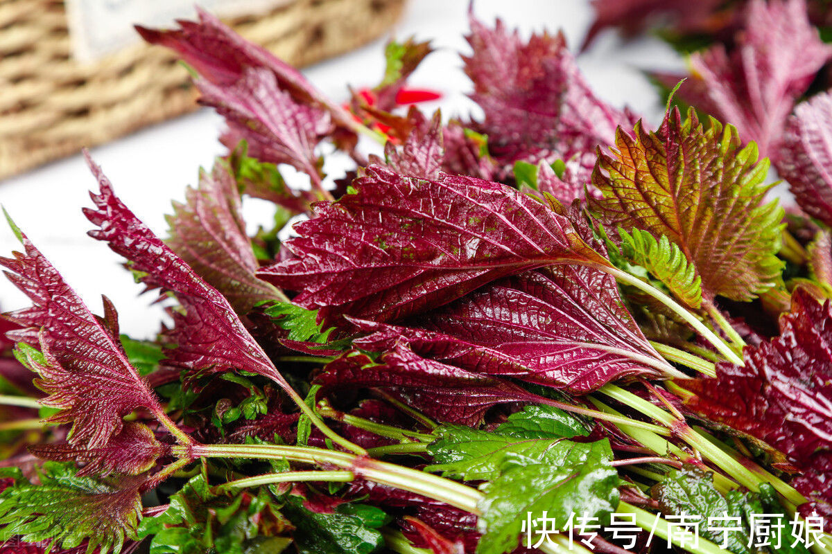 不管炖啥肉，加这5种“料”就对了，不仅去腥增香，还能散寒养胃