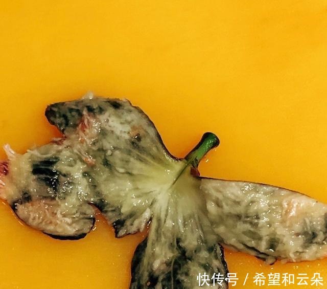 无花果用英语怎么念