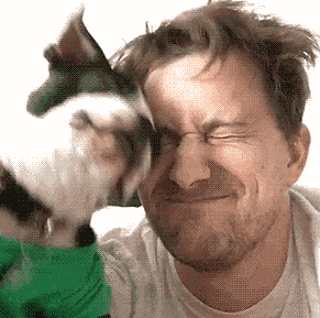 |搞笑gif:隔壁老王专用沙发