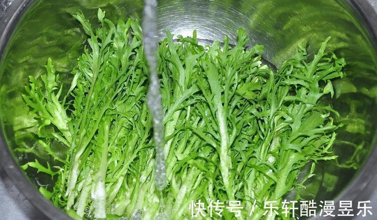 胃口|三伏天没胃口,分享4道凉拌菜,清爽开胃,应季而食,顺利过苦夏