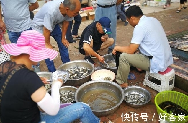 小夫妻|小夫妻顶烈日卖鱼不容易,很多人见到车上的设备后却放弃买鱼!
