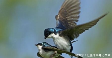  花无百日红|梁间燕共何人语庭下花无百日红