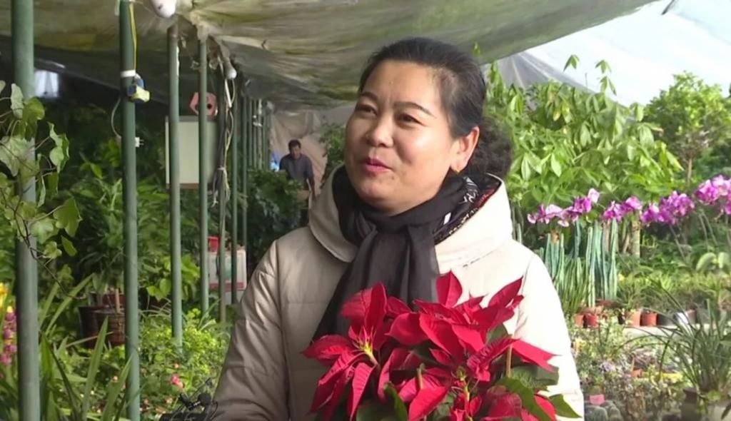 春天在传递幸福的花房里