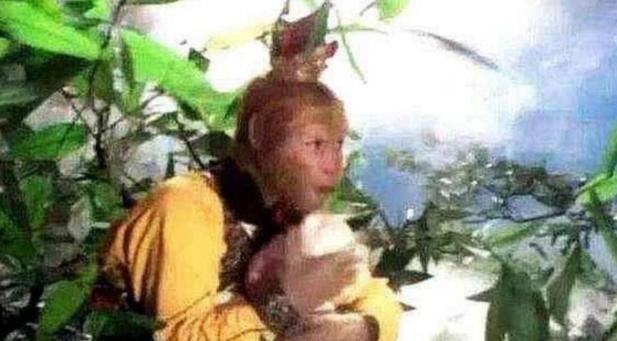 猴哥|为啥孙悟空吃蟠桃只咬一口就扔桃子放大后明白了;真难为猴哥了