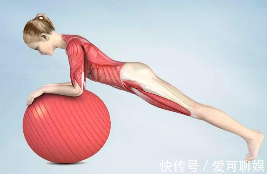 背部|练瑜伽,如何加强下背部力量?这8个动作超好用!(附解剖图)