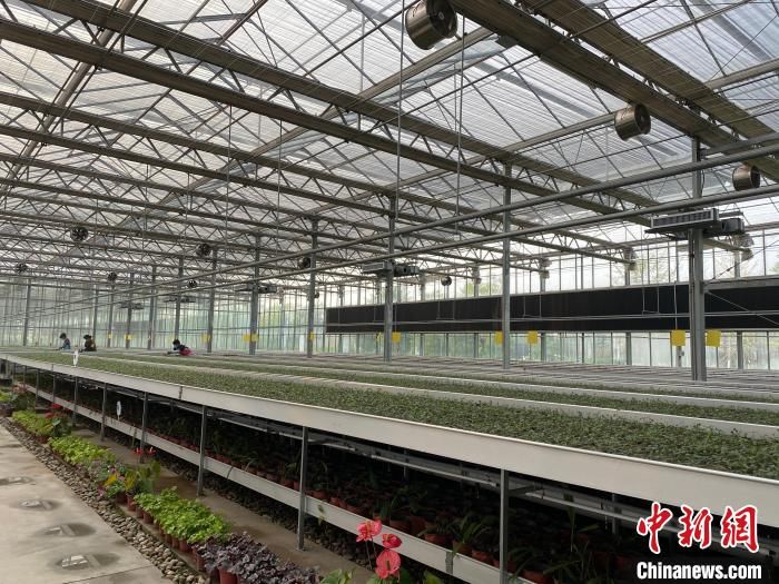 中药材|“千年药都”的守正创新：数字化保证药材质量安全