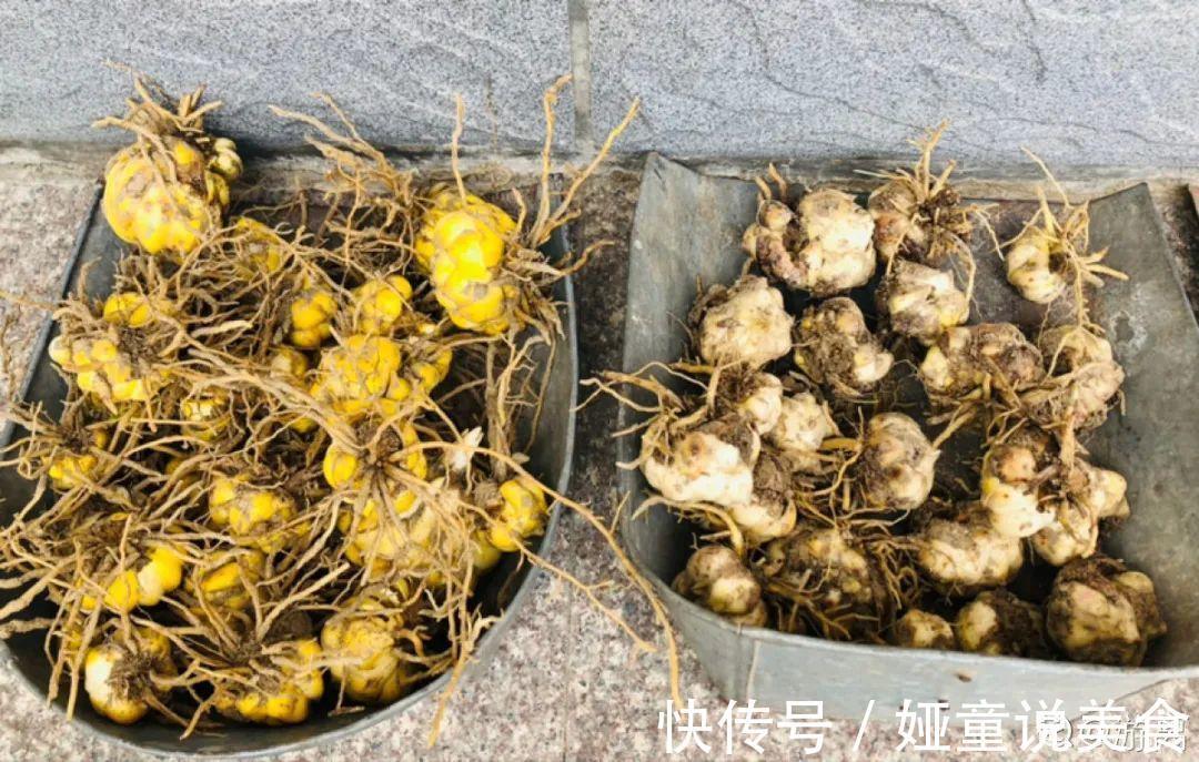 9种花是富贵命,必须大盆养,小盆养会憋死