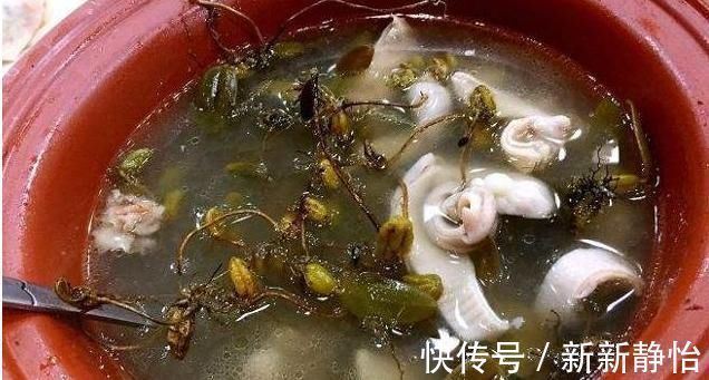 岩珠|一株就两片叶子,中间还夹颗珠子,价值极高,别当杂草