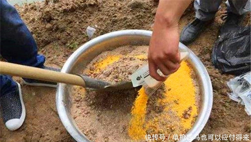 春季钓鲤鱼,饵料用小鸡饲料就够了,多种搭配方法,不输商品饵!