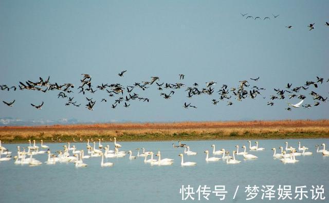 三峡|丰水时看不见边，枯水时像一条线，鄱阳湖将建坝蓄水，坝长超三峡