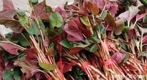 排毒养颜|会吃的人最健康,3种食物离不开,排毒养颜,补中益气,有益健康