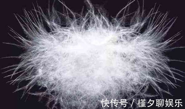 洗衣机|羽绒服洗过不保暖了教你一招清洗羽绒服的妙招,洗多少次都保暖
