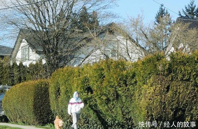 中薪|宅在家里的加拿大人干了这些事，最后一图人间有大爱