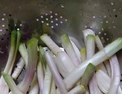 湿气最怕这菜,每天炒一盘,湿气消失了,软化血管,体重变2位数