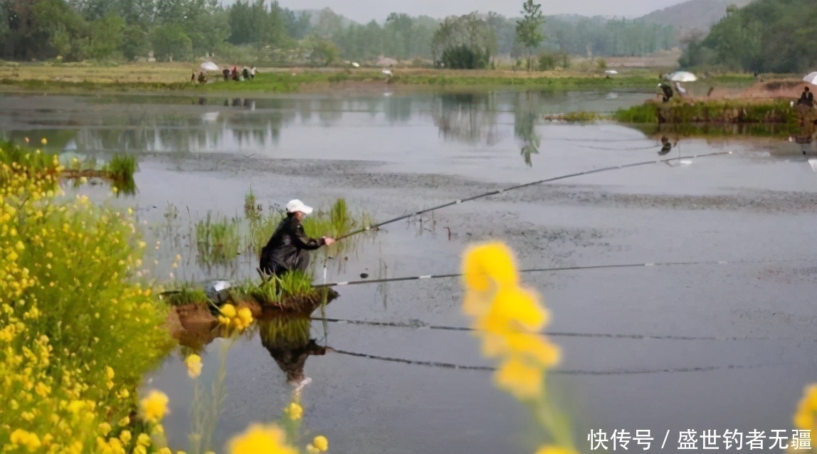 冷水鱼怎样才好钓?来看看老钓手的经验分享!——盛世三渔