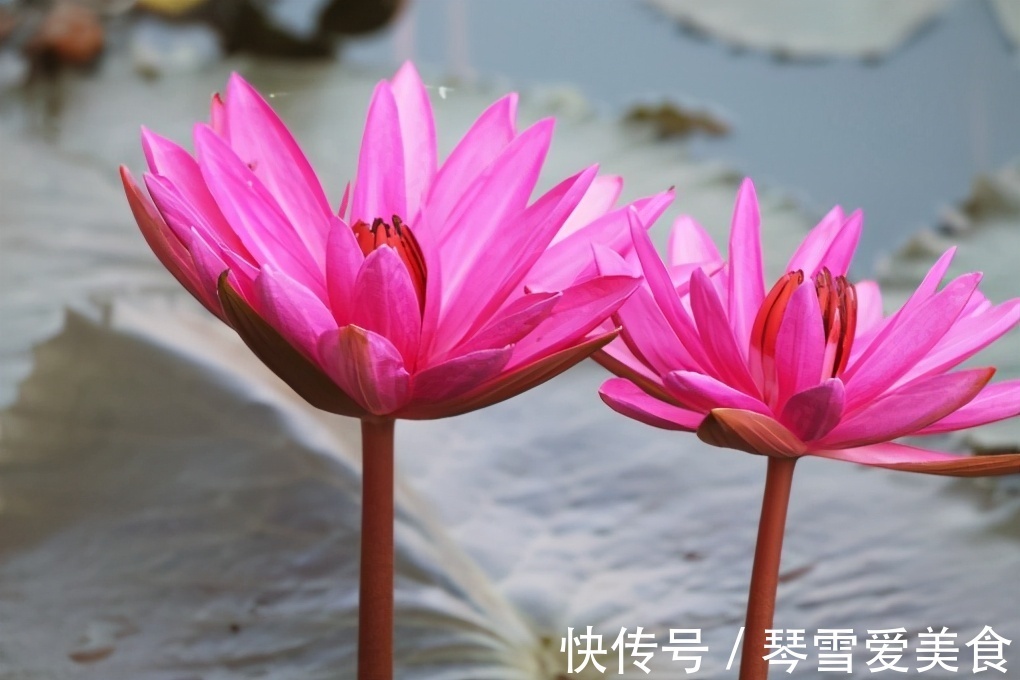 大姨|儿女成家后,和亲家相处做到2点就够了,很重要