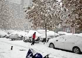 |搞笑GIF: 大姐你听解释 我真的不是故意撞上去的