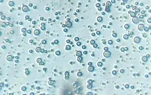 成分|孩子为啥更爱喝母乳？显微镜下放大1000倍，配方奶达不到这种程度