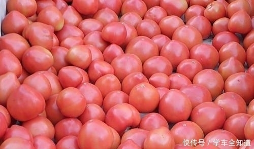 番茄|西红柿别再炒着吃了,大厨教你新吃法,1次5斤不够吃,开胃又解馋