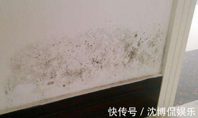 晾干|秋季墙面怎么保养3种常见“症状”,对症下药巧上家居美容课