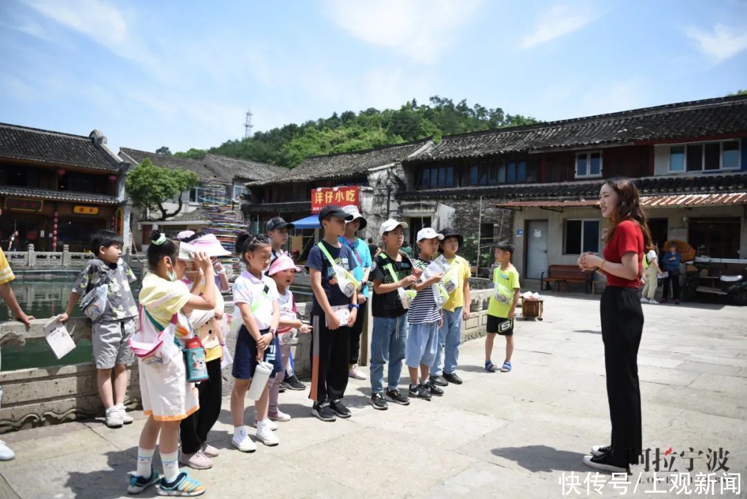 作文|跟着阿拉去研学！钱湖的夏天，也实在太有趣了吧