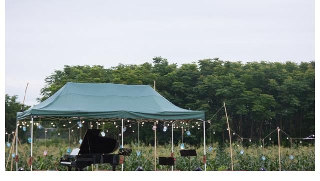 谈《向往的生活5》:能成为一部好综艺,离不开节目组的良苦用心