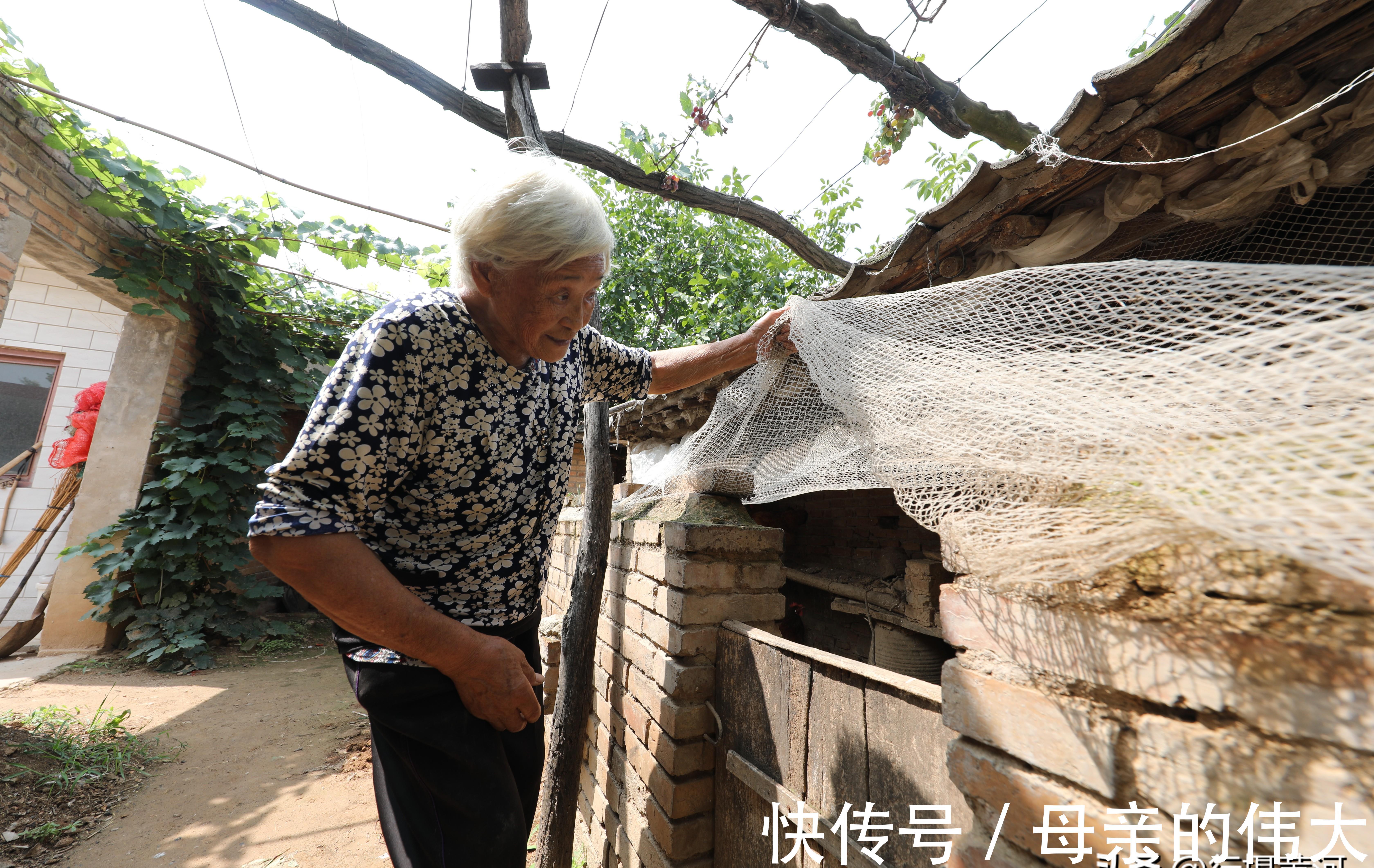 老人家|晋南81岁奶奶家有“稀罕货”，养“警犬”日夜看守，背后有故事