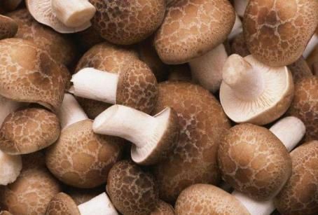 蛀牙|经常性牙龈出血,真的是上火吗?常吃此8种食物可帮你拥有好牙齿