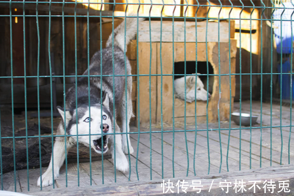 臭味|22个冷知识：或许看起来有些荒唐，但却有所依据的有趣事实