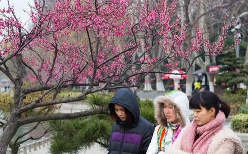 惊蛰将至，少食一味，多吃二果，预防三种疾病，年年健康少生病