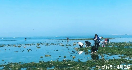 绵软|蓬莱真是个仙境！三块一碗的面，绵软温暖的沙滩，舒适畅快