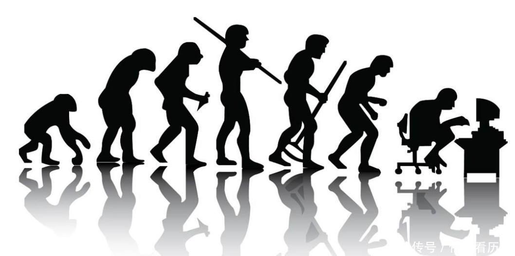 大秦帝国驱逐的神秘民族,以猴为祖以石为神,其火种留在了何方?