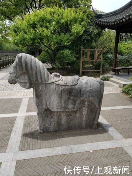 错过|快来一起赏“梅”景！去年没约成，今年别错过啦