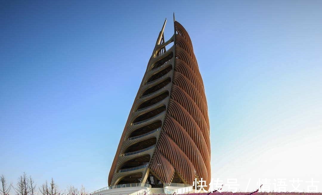 竹笋#谁最“笋”?中国四座“笋”形地标建筑