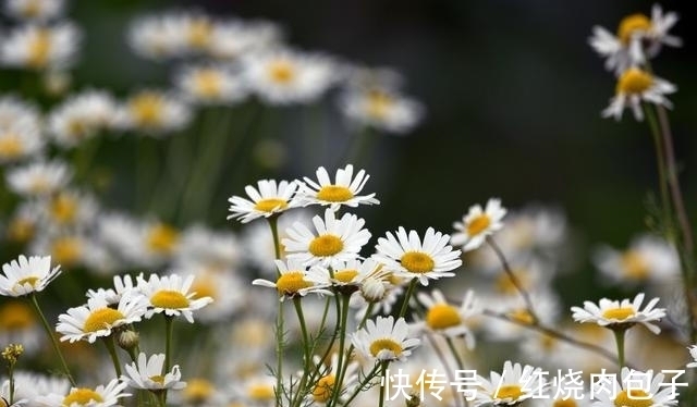 旧爱|思念不减,良缘天赐,真爱降临,不再犹豫,与旧爱重温从前