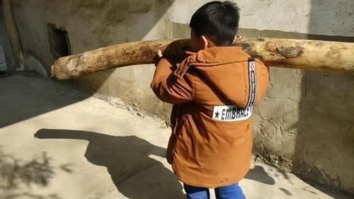 男孩|男孩饭店里提“4个垃圾桶”,以为顾客会嫌弃,不料露出羡慕目光